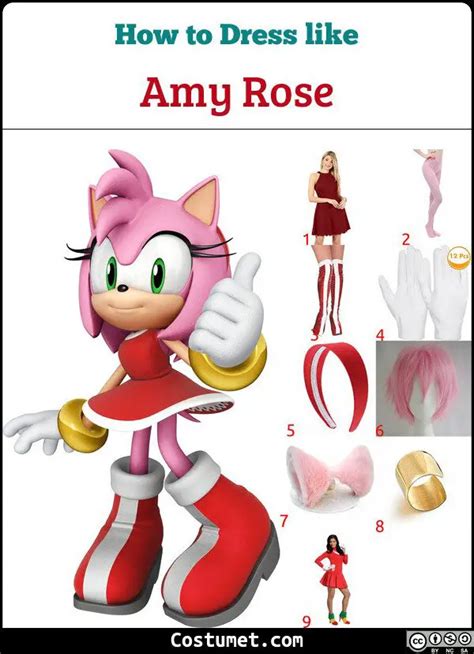 Amy Rose (Sonic the Hedgehog) Costume for Cosplay & Halloween