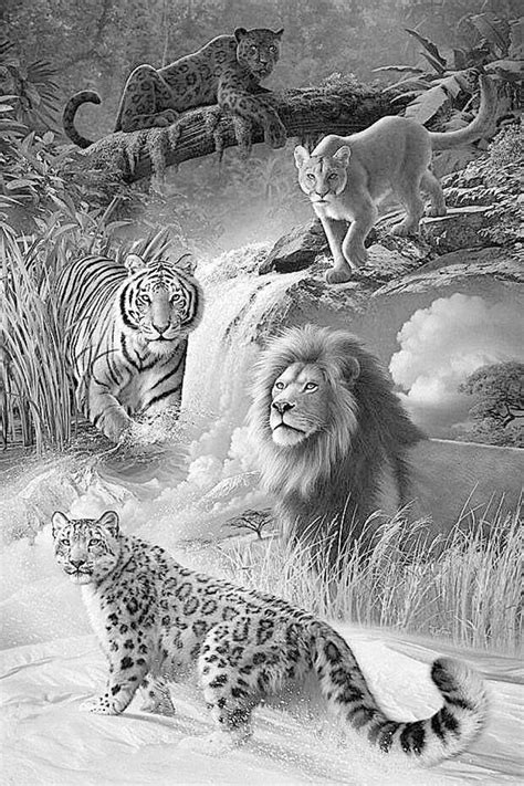 Realistic Wild Animal Coloring Pages - Realistic images of wild animals ...