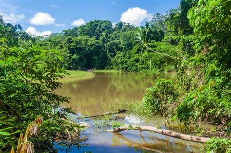 Alemania Bolivia / LLF apoya al Parque Nacional Madidi