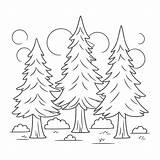 Pine Tree Coloring Pages Dennis Henninger S  Vrogueco sketch template