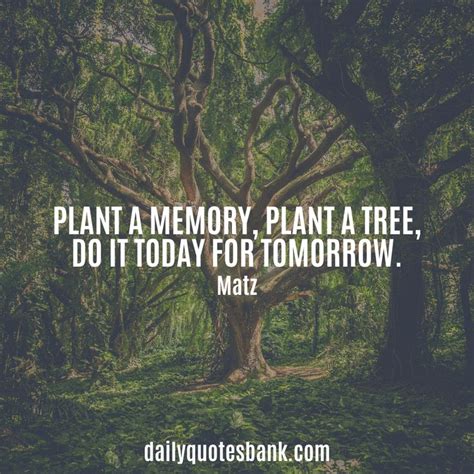 Education Quotes Trees Roots Learning - Quotes for Mee