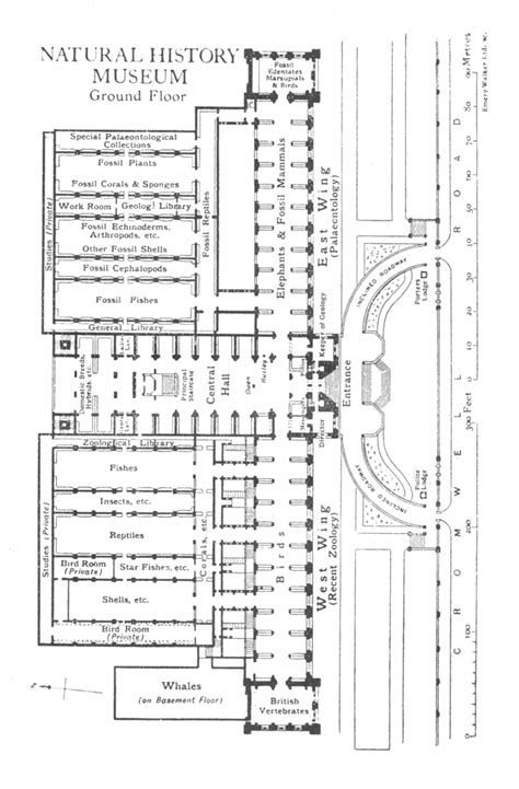London Natural History Museum Map.pdf - Google Drive | Natural history museum wedding, Natural ...