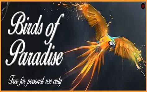 Birds of Paradise Font - UpFonts