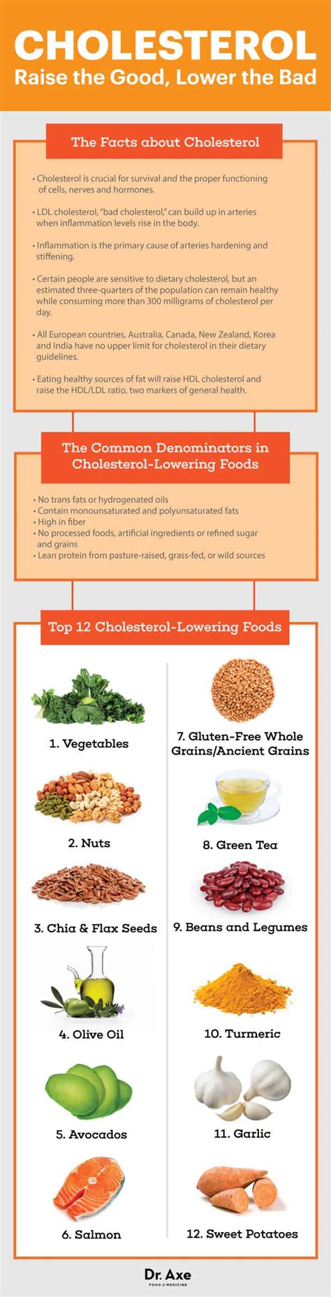 Top 12 Cholesterol-Lowering Foods - Dr. Axe