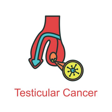 testicular cancer icon flat color 21914528 Vector Art at Vecteezy