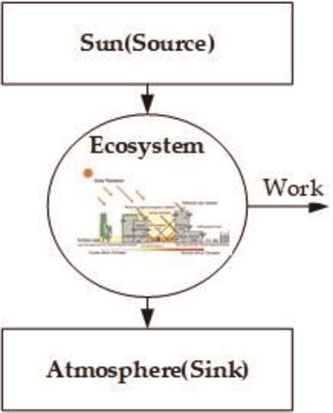 Carnot efficiency of the ecosystem. | Download Scientific Diagram