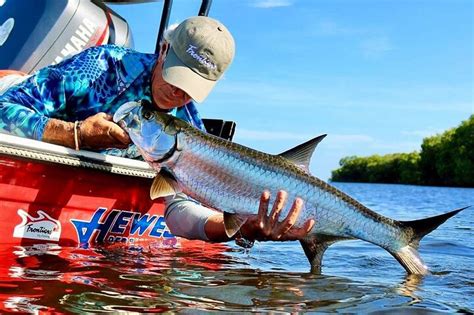 Tarpon Bay Campeche Fly fishing (Mexico): Address, Phone Number ...