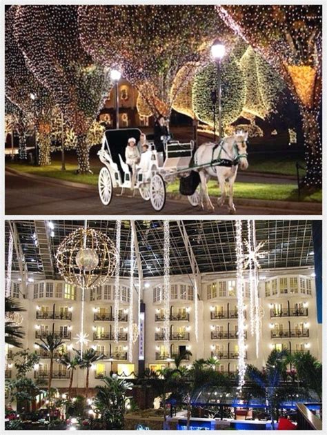 Opryland Hotel Christmas lights, Nashville, Tennessee, USA | Nashville trip, Nashville tennessee ...