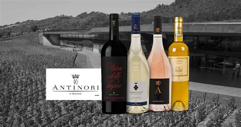 Winery of the month: Antinori | Enoteca Properzio Magazine