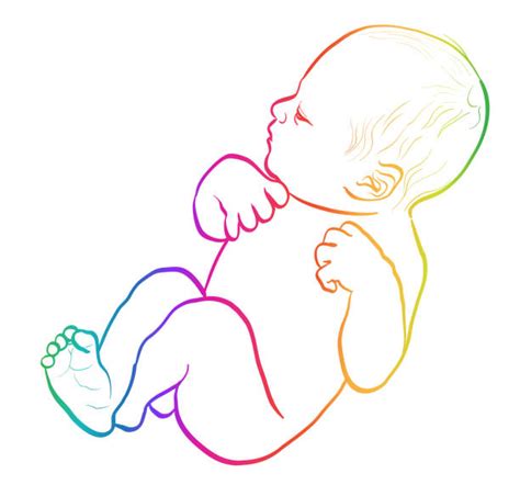 Fetal Position Drawing Illustrations, Royalty-Free Vector Graphics & Clip Art - iStock