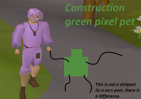 NEW! OSRS Construction pet. : r/2007scape