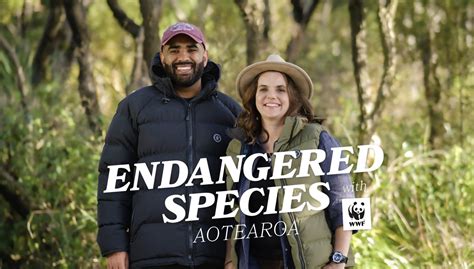 THE MOST ENDANGERED SPECIES NEW ZEALAND PREMIERES ON TVNZ WITH A STELLAR PERFORMANCE | Rabbit ...