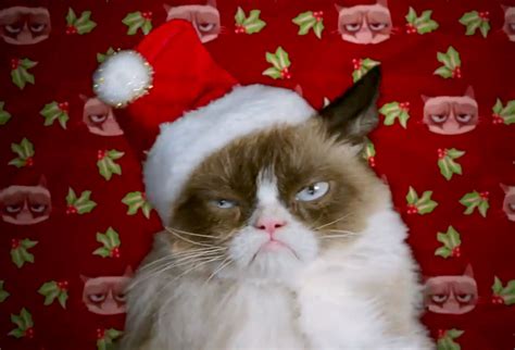 Grumpy Cat's Worst Christmas Ever Preview: First Look at Meme's ...