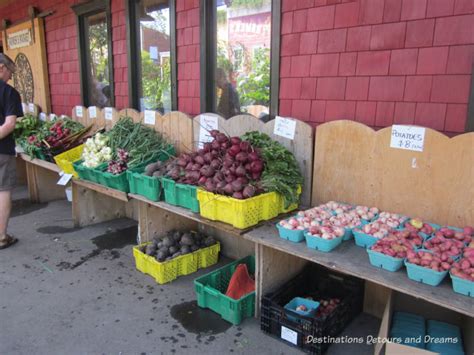 More Than Saskatoons at the Saskatoon Farm | Destinations Detours and Dreams