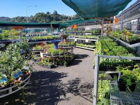 GARDEN CENTRE & SUPPLIES | MITRE 10 WHAKATANE