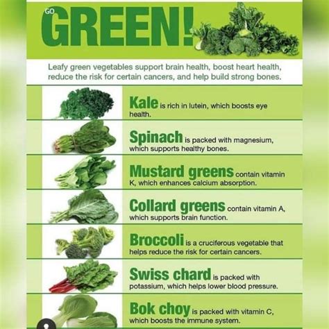 Pin by Byron Milton on Being Healthy | Green leafy vegetable, Green vegetables, Food health benefits