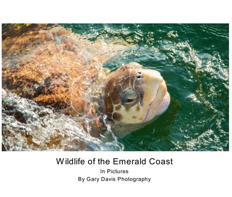 Emerald Coast Wildlife by Gary Davis Photography | Blurb Books