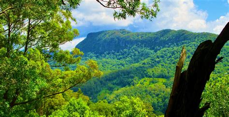 Gold Coast Hinterland national parks Heritage-listed