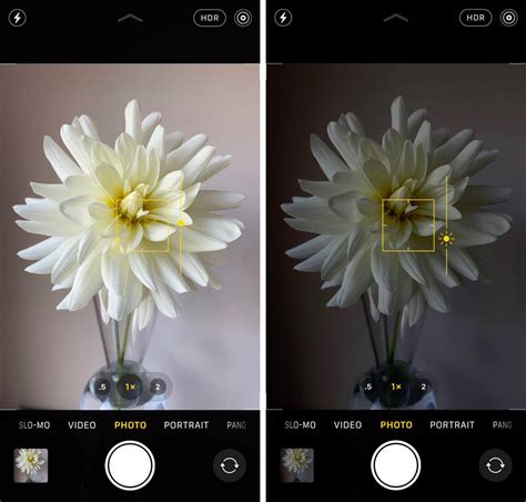 12 Mobile Photography Tips Every Photographer Should Know