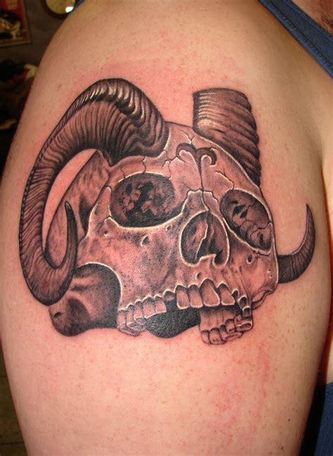 skull with horns by asussman on DeviantArt