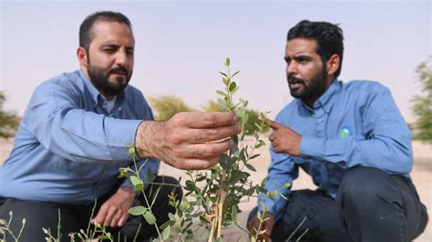 Aramco 2022 Sustainability Report released | Aramco Life