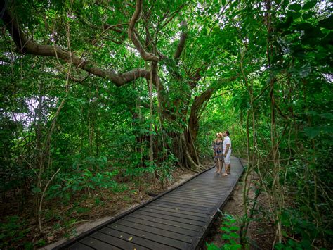 great-barrier-reef-accommodation-cairns-green-island-resort-eco-island-walk | Great Barrier Reef ...