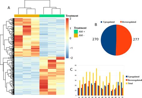 Overview of differential expression analysis performed with DESeq2 ...