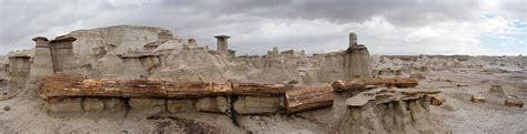 Hoodoos and a petrified log: the Bisti Wilderness Area (South Section), New Mexico