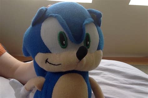 Sonic Plush by warriorcatshe on DeviantArt