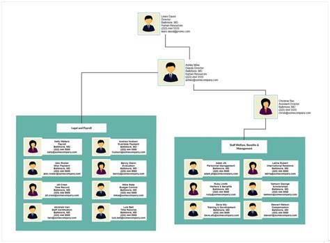 Can an Organizational Chart Really Make You Better at Your Job as an HR Executive? | HR C-Suite