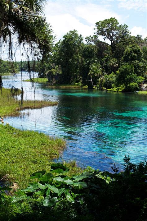 Rainbow River, Florida | My eyes wish to see... | Pinterest