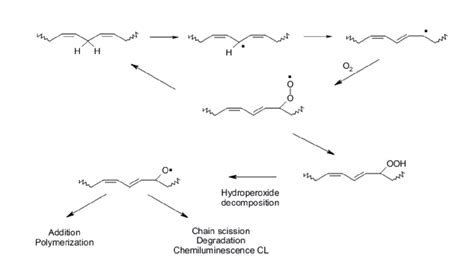 Schematic description of auto-oxidation for the linoleate structure... | Download Scientific Diagram