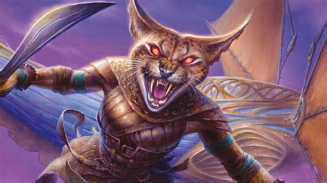 DnD Tabaxi 5e guide