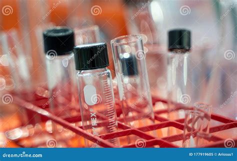 Experiment Equipment in Science Laborator Stock Image - Image of education, health: 177919605