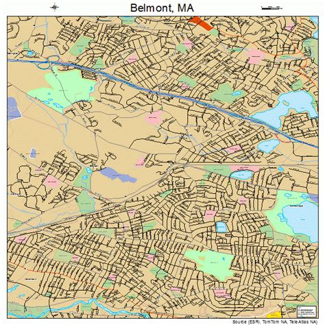 Belmont Massachusetts Street Map 2505105