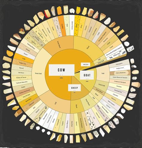 Cheese chart : food