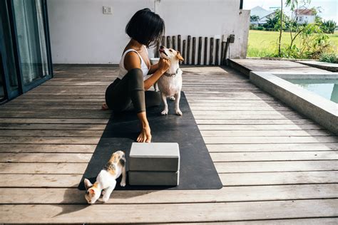 The Benefits of Dog Yoga - THE SEEK BLOG