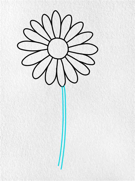 Daisy Flower Drawing | Best Flower Site