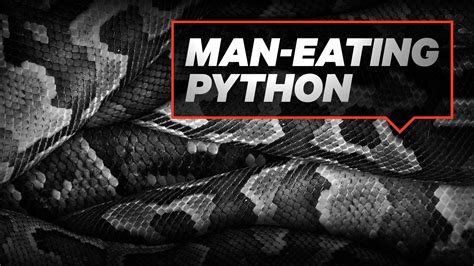 Man-Eating Python