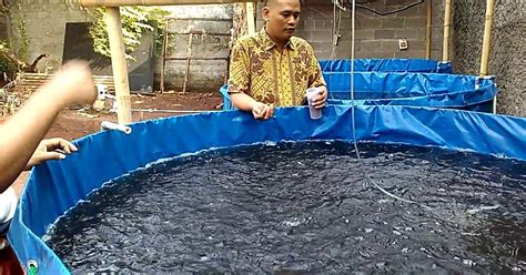 Kolam Terpal | Budidaya Ikan Lele | Ternak Lele Bioflok | Jual Kolam Terpal Bulat: Keuntungan ...