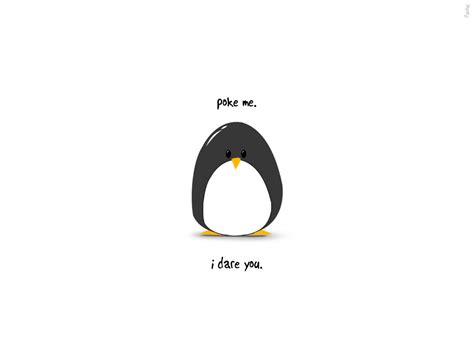 Cute Penguin Wallpaper - WallpaperSafari