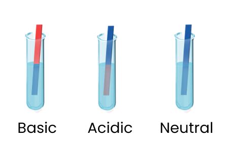 Neutral Solution