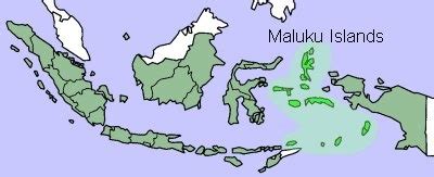 map of Maluku Islands (light green colour) Maluku Islands Indonesia consists of 2 provinces. 1 ...
