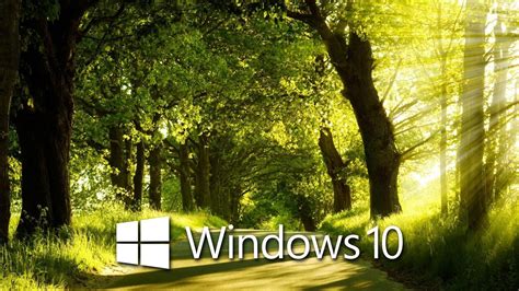 Windows 10 in the sunny forest [4] wallpaper - Computer wallpapers - #48349