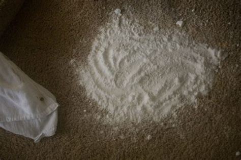 Using Baking Soda on Carpet to Clean and Deoderize | MSS Cleaning