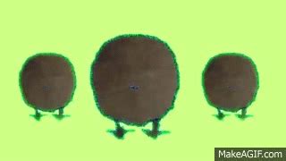 Kiwi GIFs - Find & Share on GIPHY