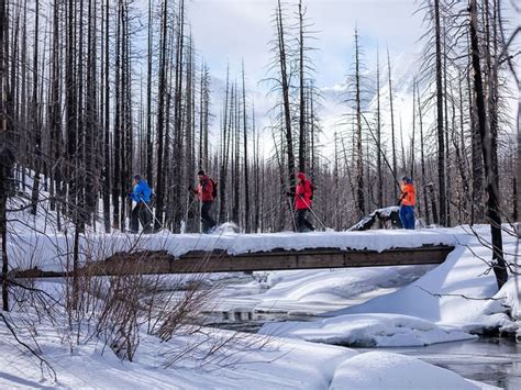 Waterton Lakes National Park offers winter recreation opportunities ...