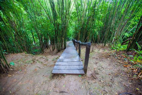 The Huai Mae Khamin Waterfall 1329317 Stock Photo at Vecteezy