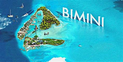 From Miami: Bimini Bahamas Day Trip by Ferry | GetYourGuide