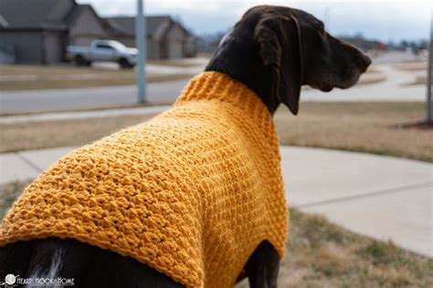 Large Dog Sweater Crochet Pattern Free Post Stitches Are Used At The Bottom, Then Work In The ...